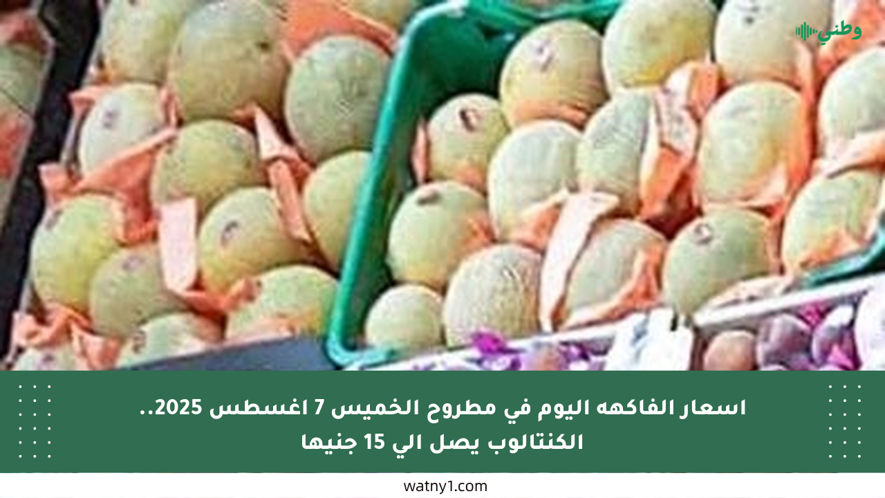 أسعار الفاكهة اليوم في مطروح الخميس 7 أغسطس 2025.. الكنتالوب يصل إلى 15 جنيها